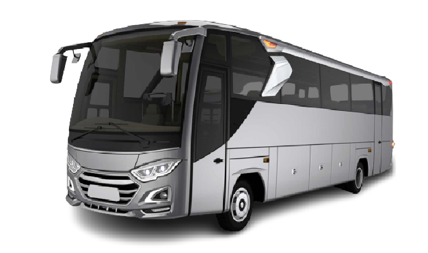 medium bus